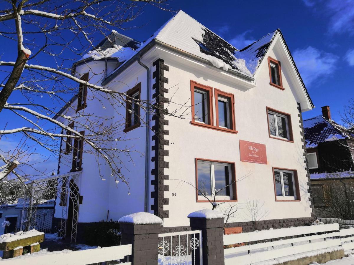 Villa Kopp-Das Gaestehaus Hopfingen Exteriör bild